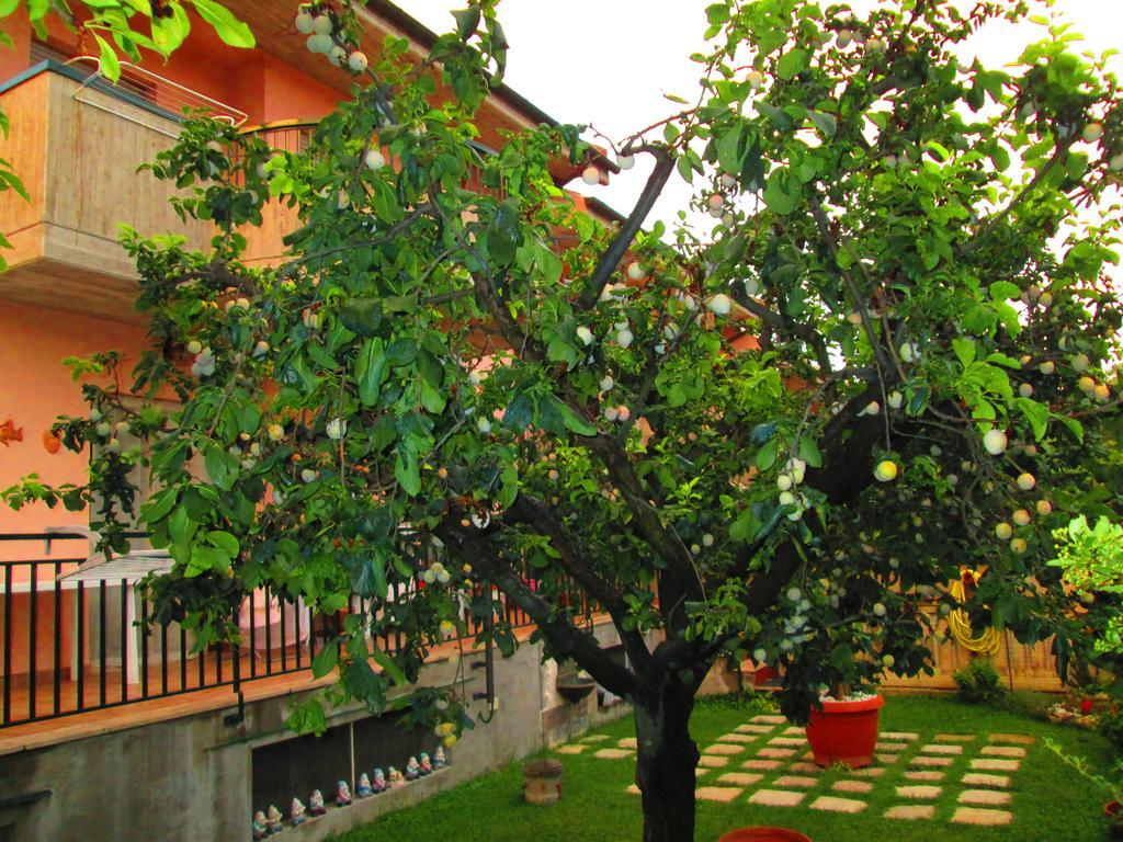 B&B Le Begonie Ascoli Piceno Esterno foto