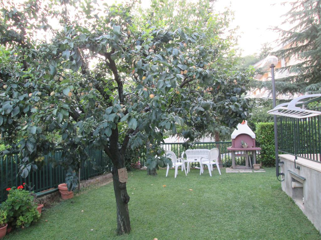 B&B Le Begonie Ascoli Piceno Esterno foto
