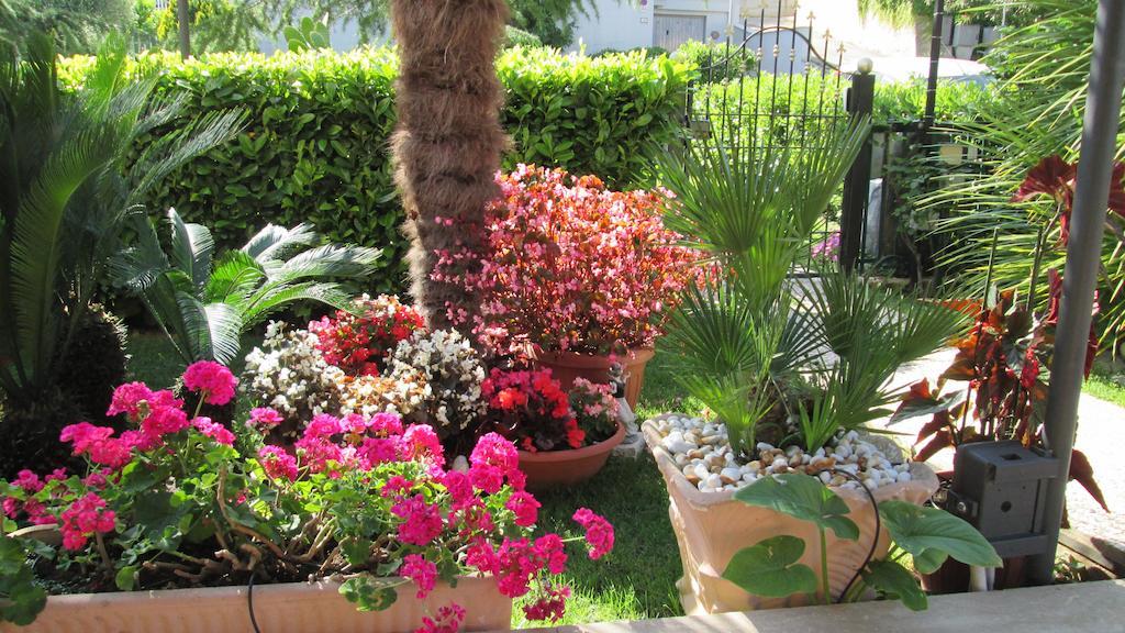 B&B Le Begonie Ascoli Piceno Esterno foto